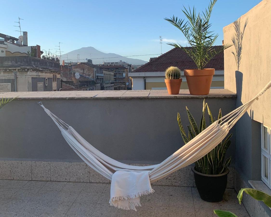 كاتانيا Homestay Rooftop المظهر الخارجي الصورة